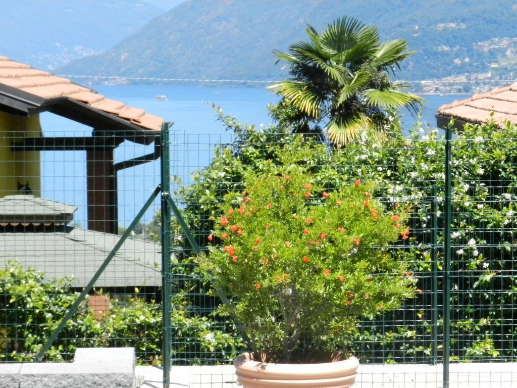 Casa Elena 1 Διαμέρισμα Germignaga Εξωτερικό φωτογραφία